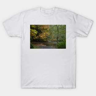 Fall in goldstream park T-Shirt